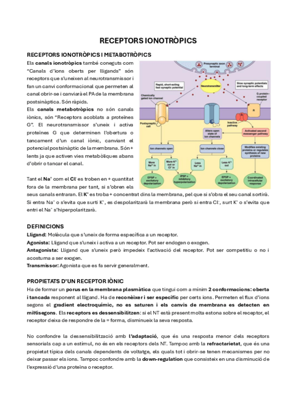Miniatura del documento 11.-Receptors-Ionotropics.pdf
