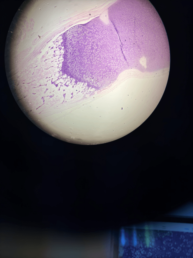 Miniatura del documento 3.2.pdf