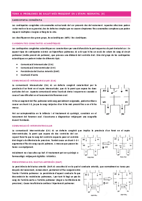 Miniatura del documento M3.-T4.pdf
