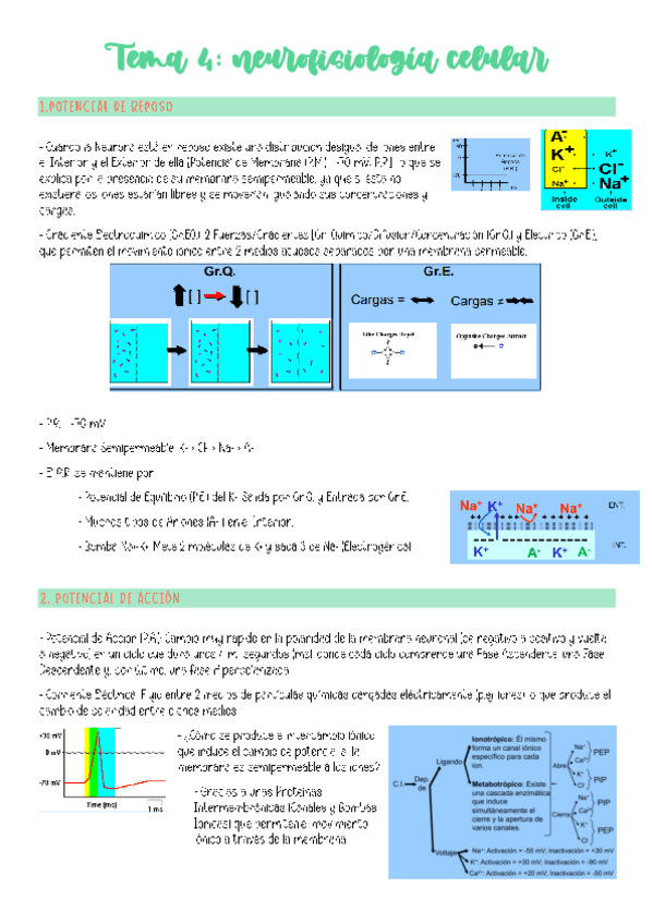 Miniatura del documento TEMA-4.pdf