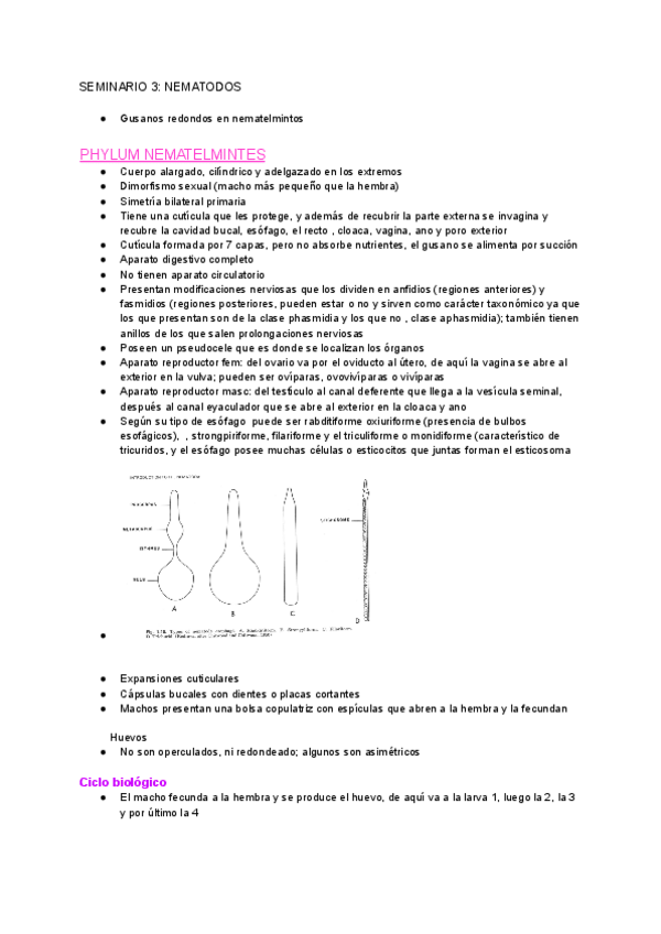 Miniatura del documento SEMINARIO-3-NEMATODOS.pdf