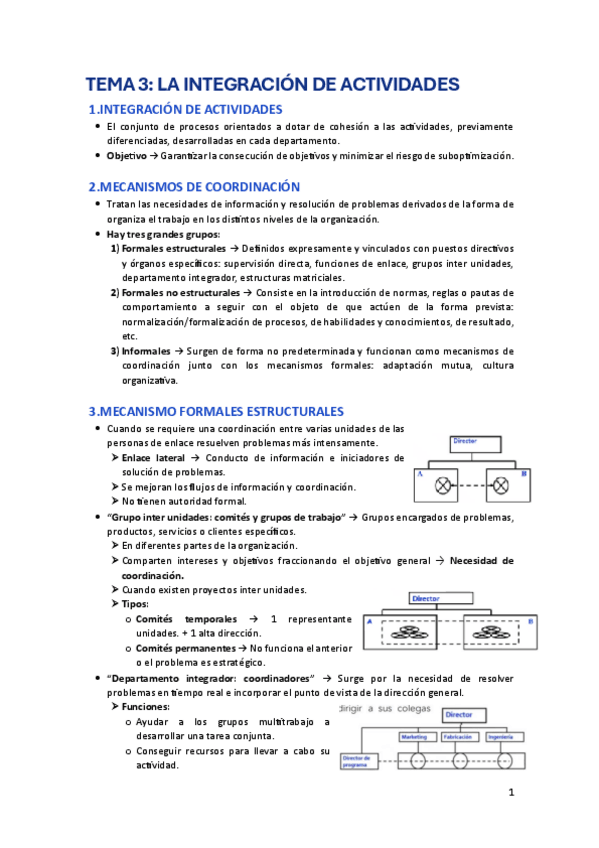 Miniatura del documento TEMA-3-La-Integracion-de-Actividades.pdf