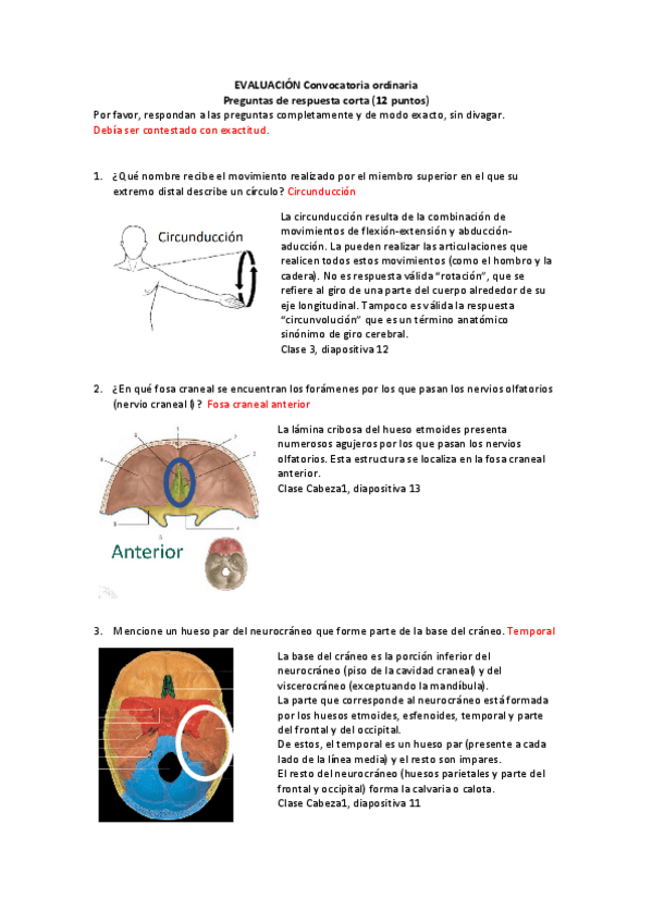 Miniatura del documento Respuestas-del-examen-pregunta-corta.pdf