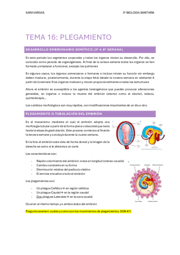 Miniatura del documento TEMA-16-plegamiento.pdf