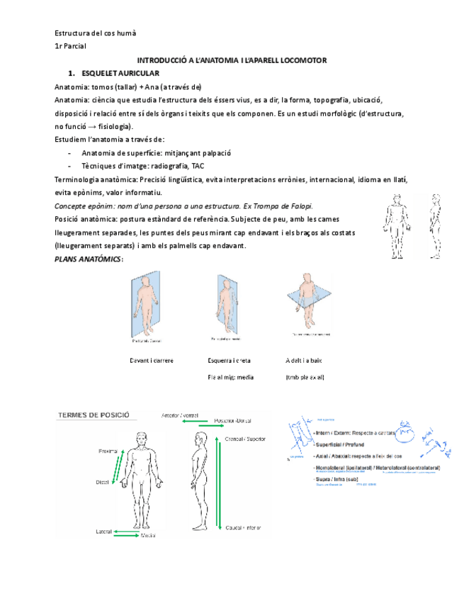Miniatura del documento ECHAparellLocomotor.pdf