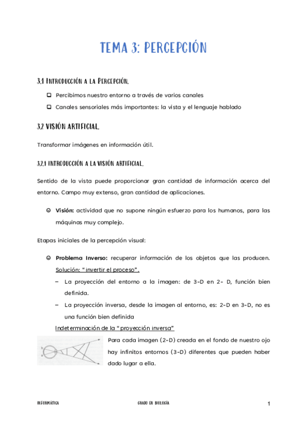 Miniatura del documento TEMA-3-Percepcion.pdf
