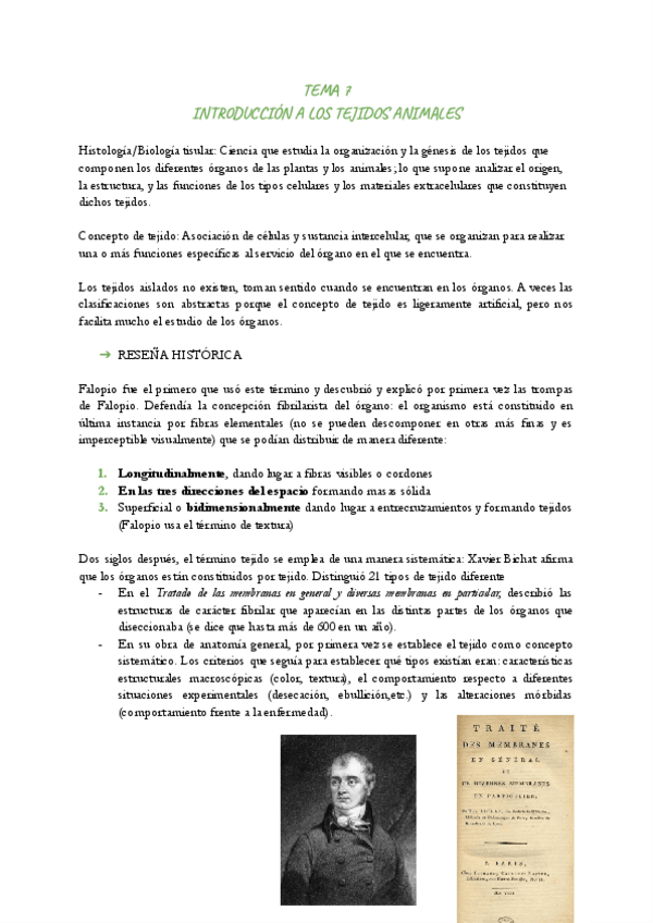 Miniatura del documento TEMA-7.pdf