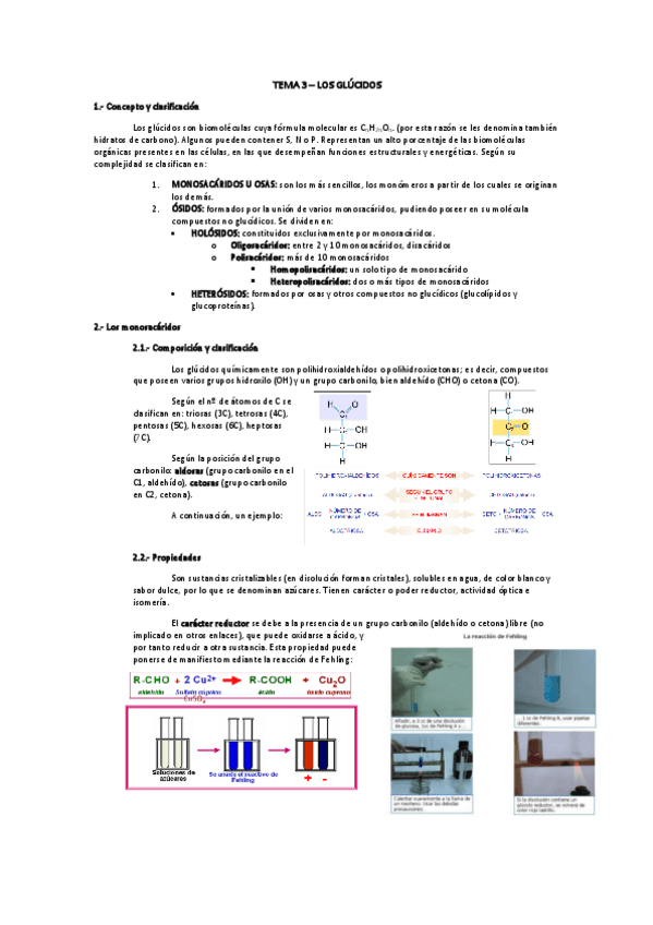 Miniatura del documento TEMA-3-GLUCIDOS.pdf
