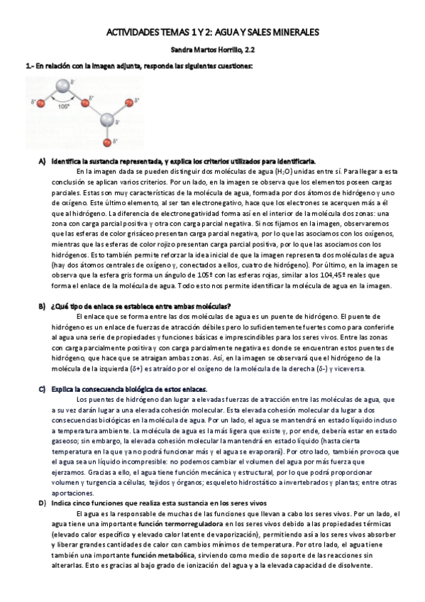 Miniatura del documento Actividades-agua-y-sales-minerales.pdf
