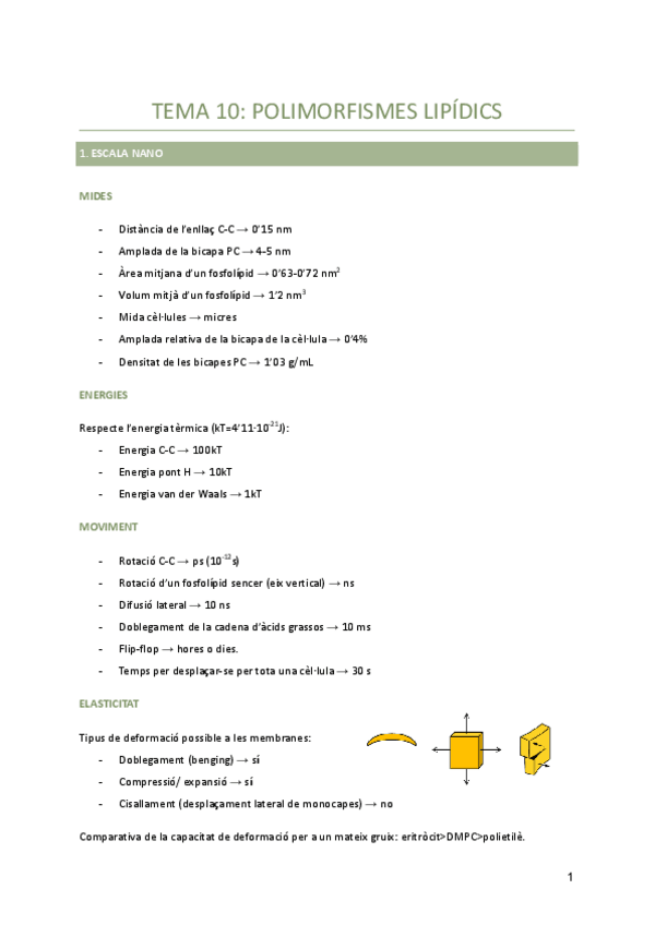 Miniatura del documento Tema-10-Polimorfismes-lipidics.pdf