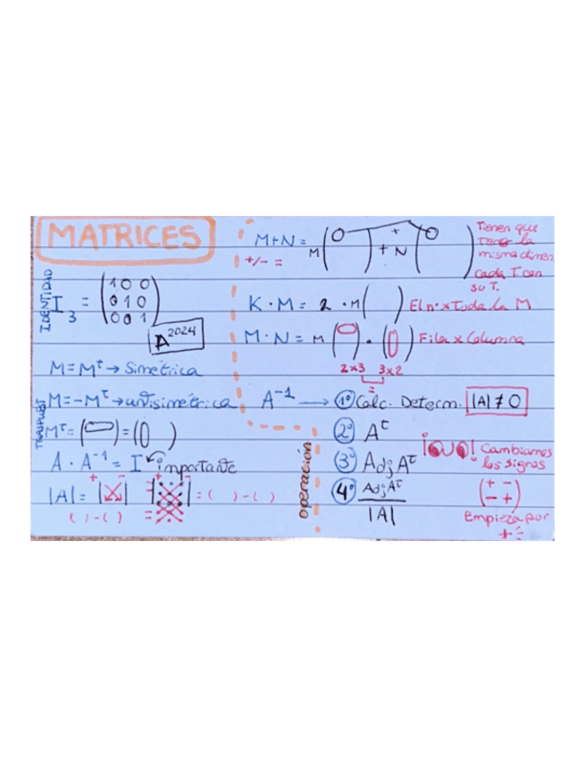 Miniatura del documento MATRICES.pdf