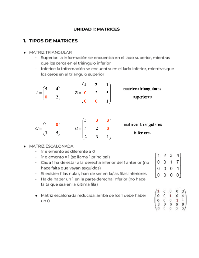 Miniatura del documento UNIDAD-1-MATRICES.pdf