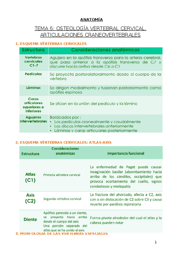 Miniatura del documento TEMA 6.docx