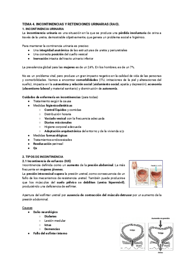 Miniatura del documento TEMA-4.-INCONTINENCIAS-Y-RETENCIONES-URINARIAS-RAO..pdf