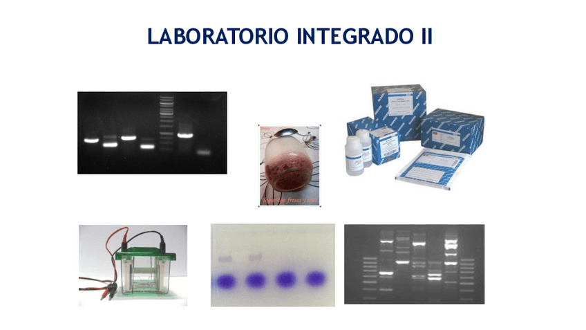 Miniatura del documento 2019-20.-PRESENTACION-2.-LABORATORIO-INTEGRADO-II.pdf