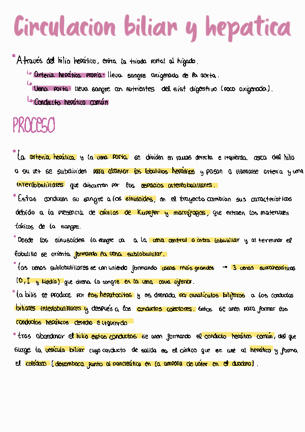 Miniatura del documento circulacion-biliar-y-hepatica.pdf