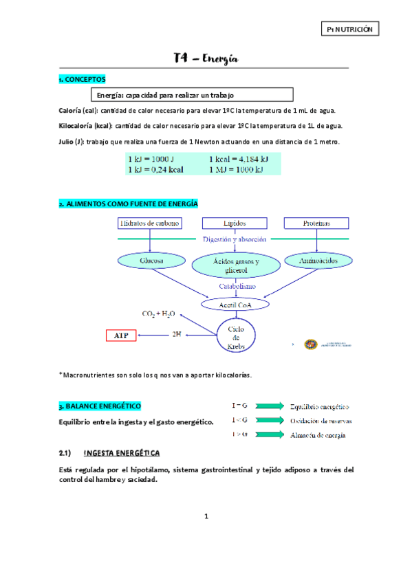 Miniatura del documento T4-Energia-apuntes.pdf