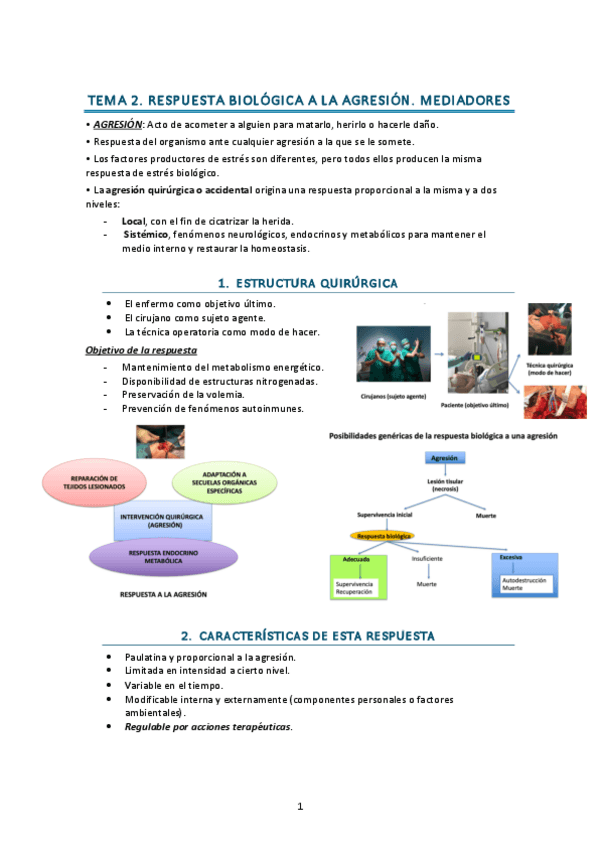 Miniatura del documento A2.-Respuesta-Biologica-a-la-agresion.pdf