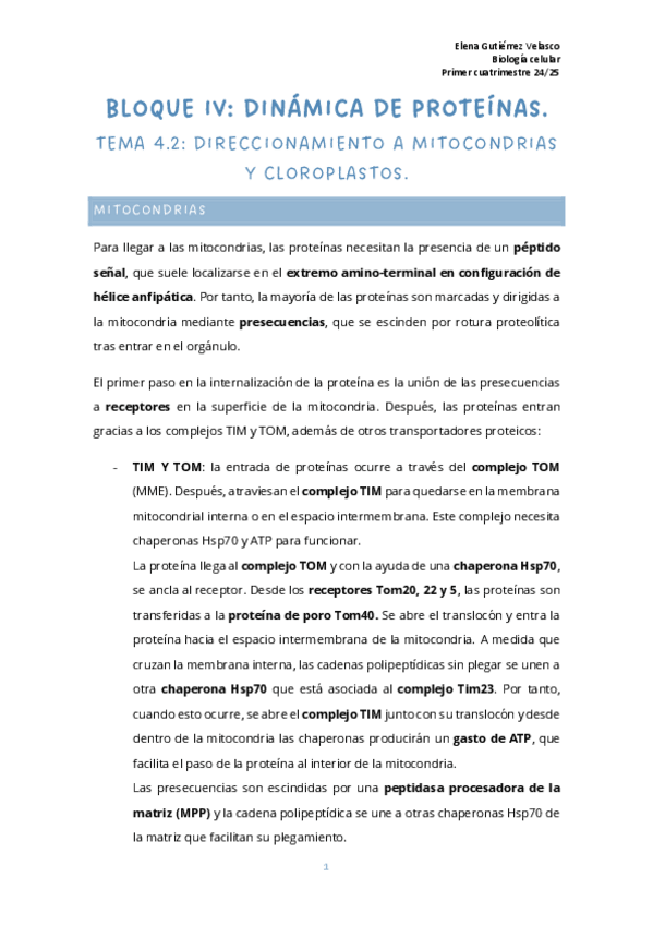 Miniatura del documento tema-4.2-direccionamiento-mitocondrias-y-cloroplastos.pdf