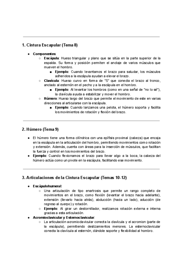 Miniatura del documento EXPLICACION-GENERAL-SEGUNDO-PARCIAL-ANATOMIA.pdf