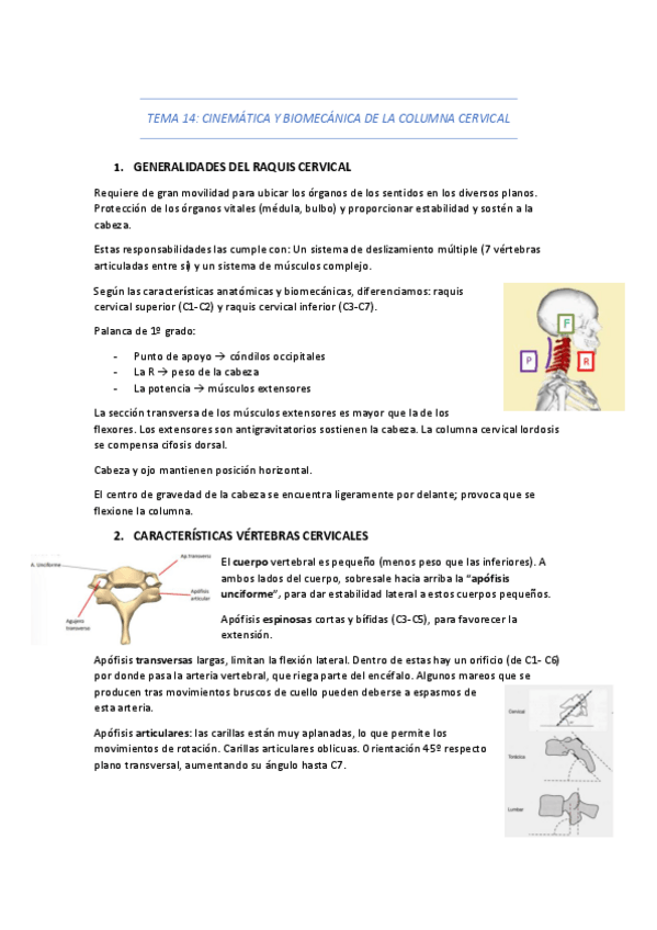 Miniatura del documento TEMA-14.pdf