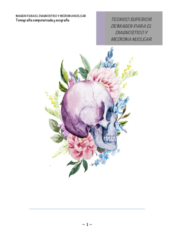 Miniatura del documento Resumen-tomografia-computarizada-y-ecografia.pdf