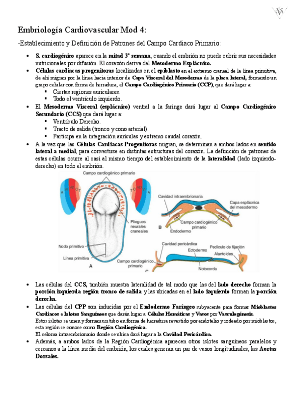 Miniatura del documento Embriologia-Mod-4.pdf