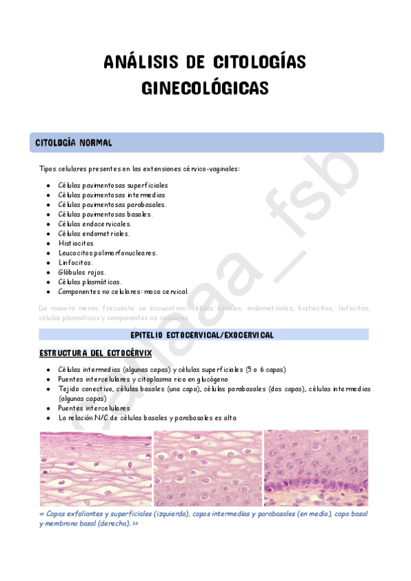 Miniatura del documento Tema-3--Analisis-de-citologias-ginecologicas.pdf