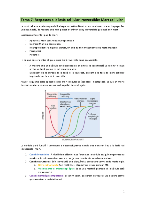 Miniatura del documento T7-PCM-mort-cellular.pdf