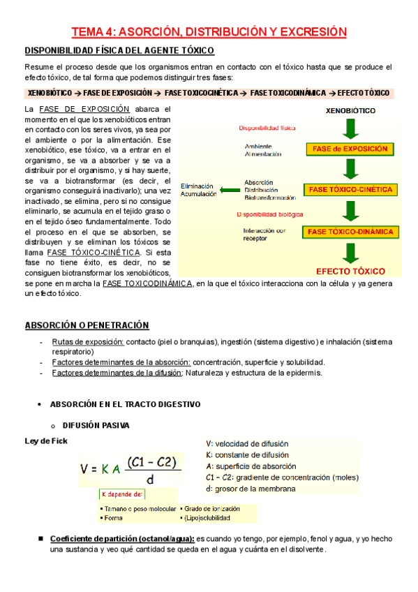 Miniatura del documento Apuntes-tema-4-TOXICOMPLETOS.pdf