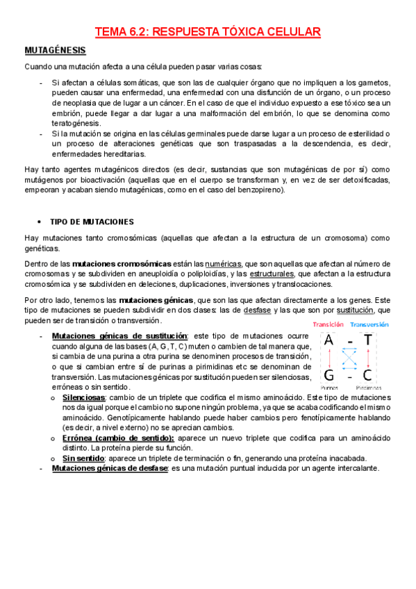 Miniatura del documento Apuntes-tema-6.2-TOXICOMPLETOS.pdf
