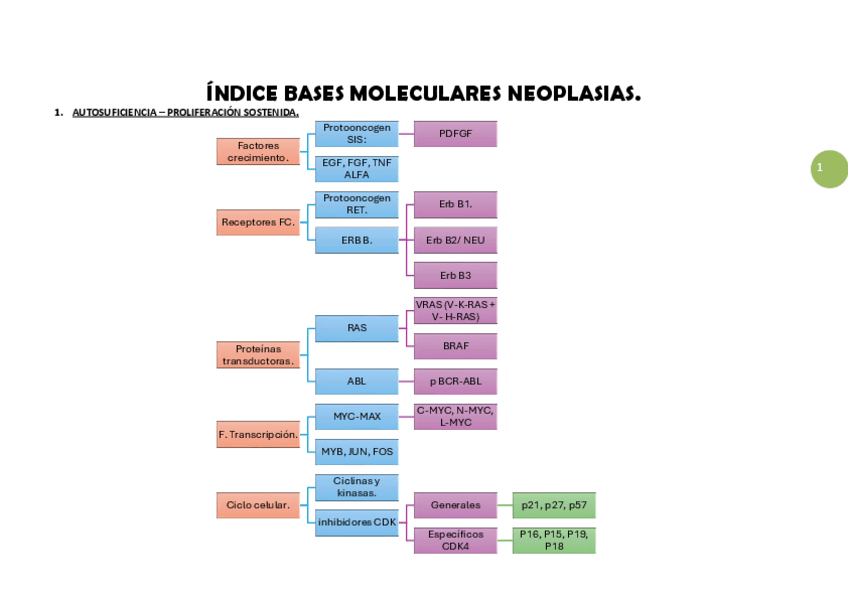 Miniatura del documento Resumen-TEMA-Bases-moleculares-NEOPLASIAS-indiceJ-resumen-AP.pdf