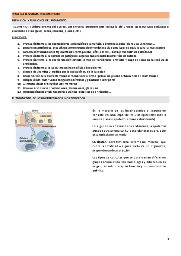 Miniatura del documento TEMAS-6.1-6.2-6.3-6.4-completos.pdf