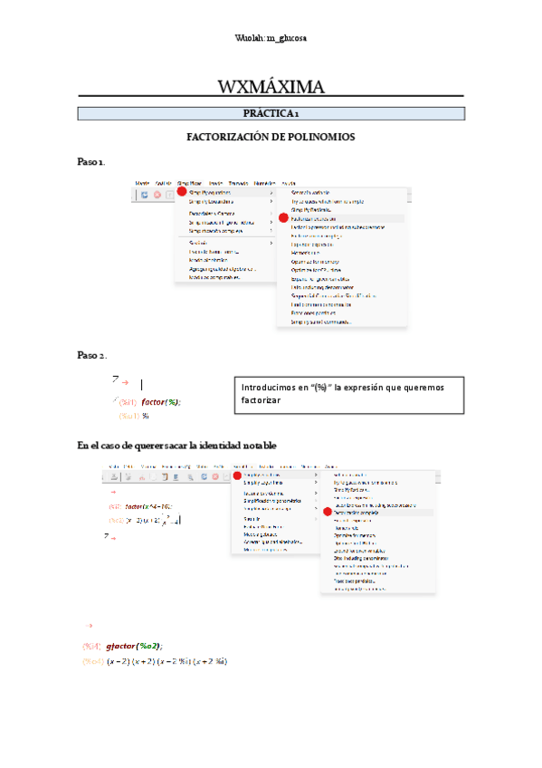 Miniatura del documento APUNTES-PRACTICAS-BIOMATEMATICAS.pdf