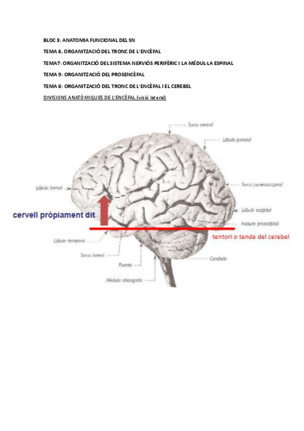 Miniatura del documento BLOC-3-T8.pdf