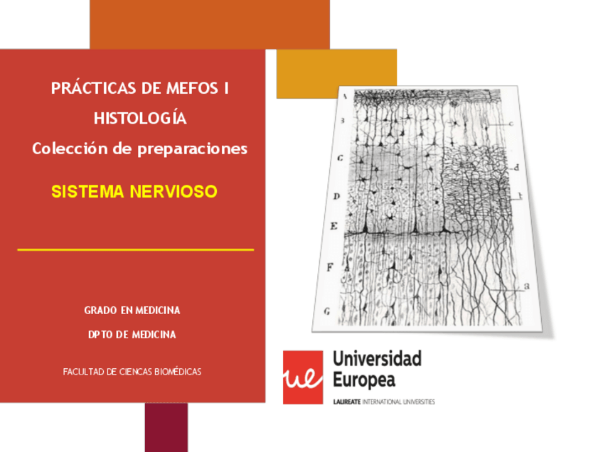 Miniatura del documento MEFOS-I-NEURO-PRACT-HISTO.pdf