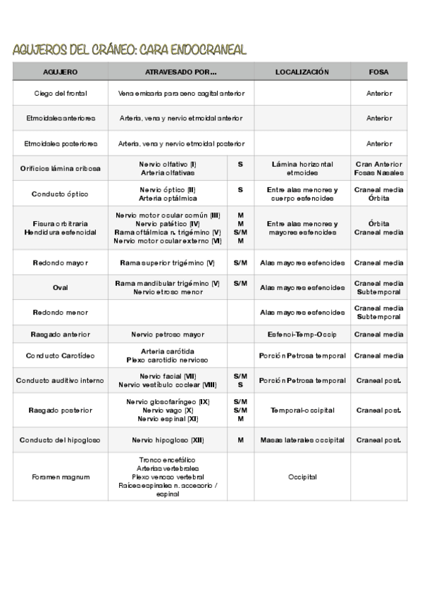 Miniatura del documento Agujeros-cabeza.pdf