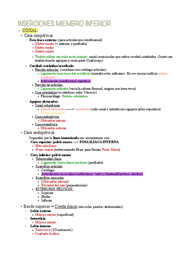 Miniatura del documento Inserciones-miembro-inferior-examen-practico.pdf