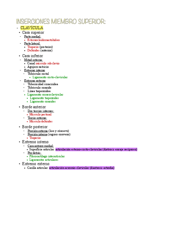 Miniatura del documento Inserciones-miembro-superior-examen-practico.pdf