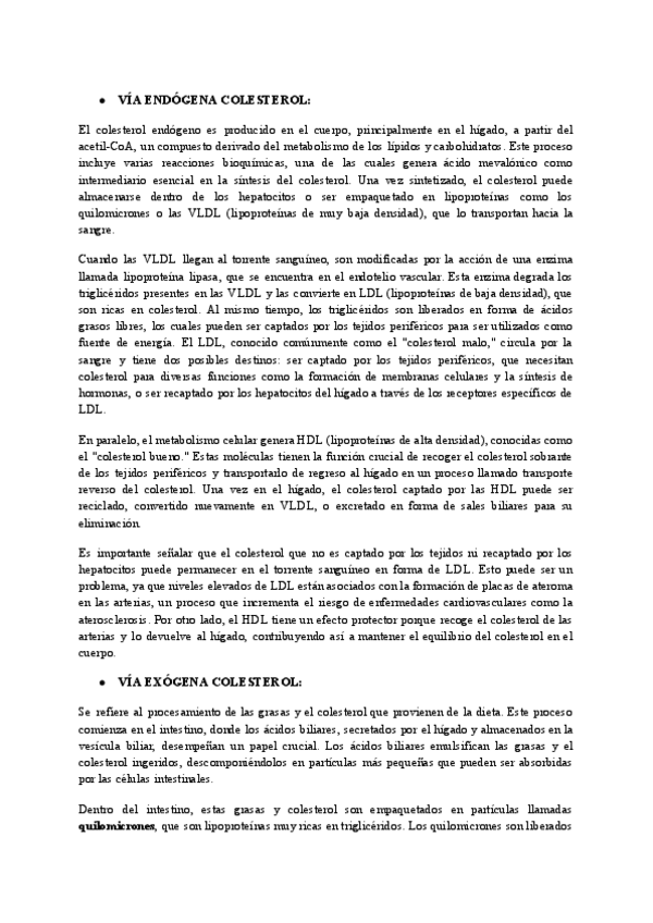 Miniatura del documento RUTAS-COLESTEROL-FARMA.pdf