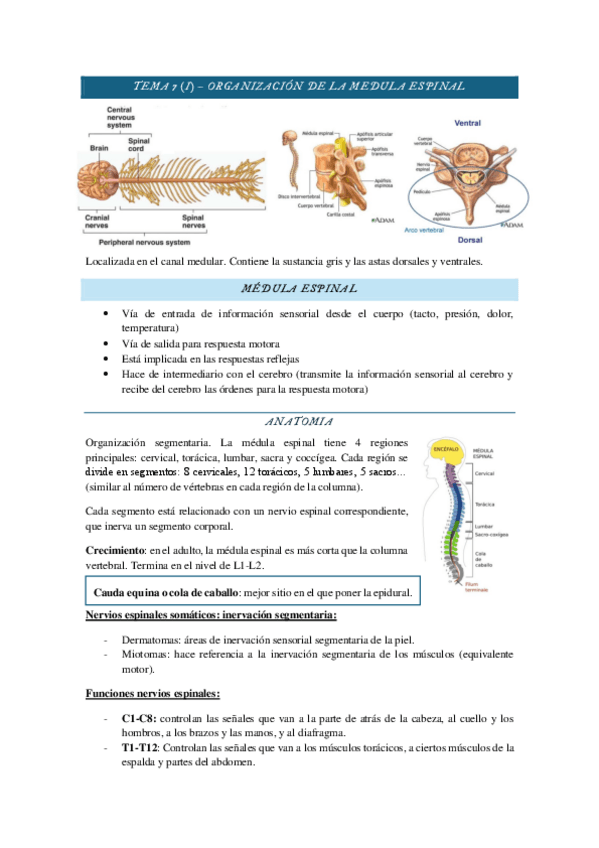 Miniatura del documento bloc-3-2024-castella.pdf