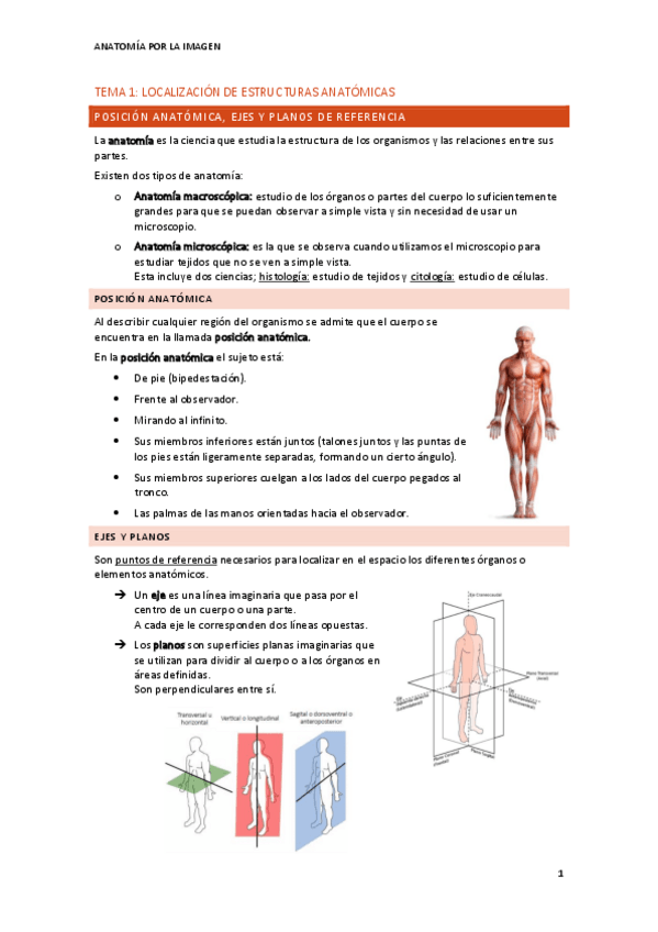 Miniatura del documento tema-1-localizacion-de-estructuras-anatomicas.pdf