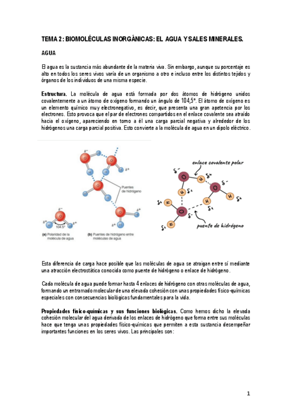 Miniatura del documento TEMA-2-Agua-y-sales-minerales.pdf