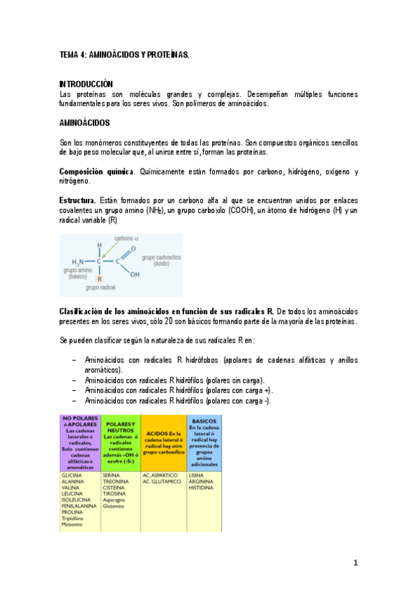 Miniatura del documento TEMA-5-Aminoacidos-y-proteinas.pdf