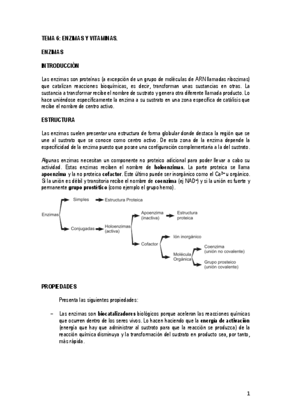 Miniatura del documento TEMA-6-Enzimas-y-vitaminas.pdf