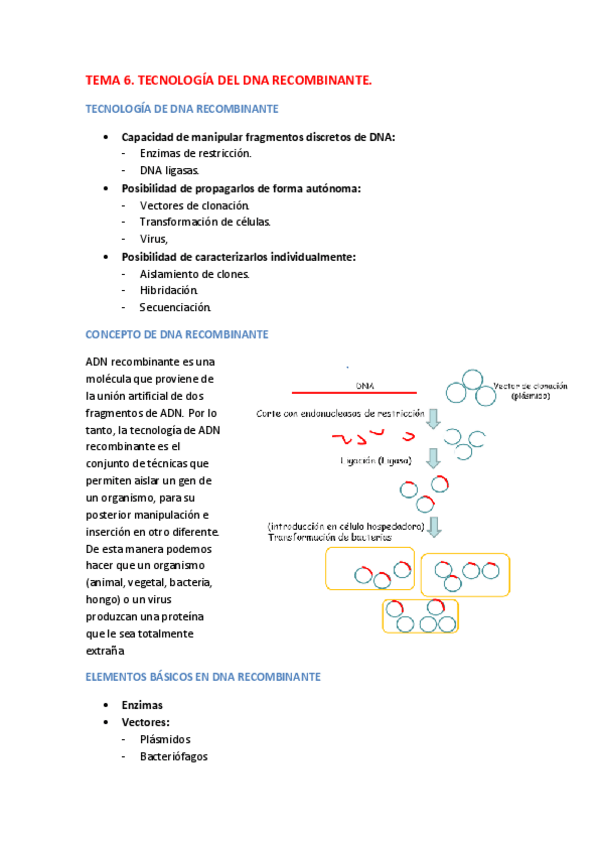 Miniatura del documento TEMA 6.pdf