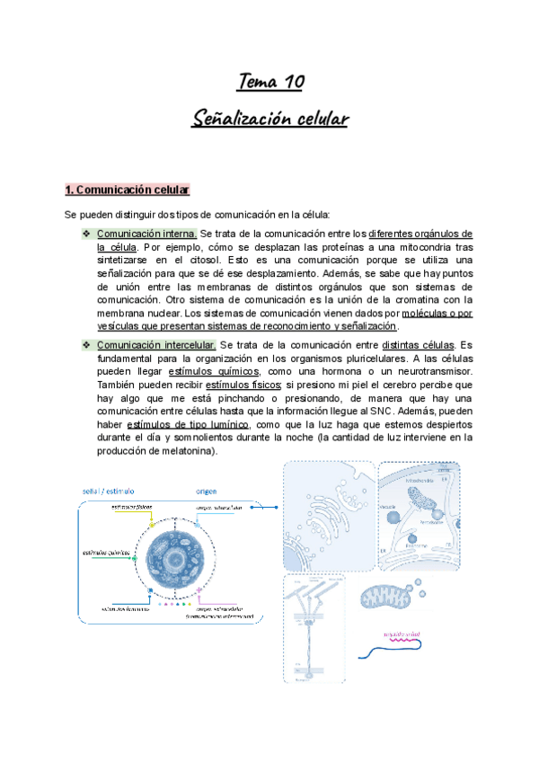 Miniatura del documento Apuntes-Tema-10-BioCel-I-Senalizacion-celular.pdf