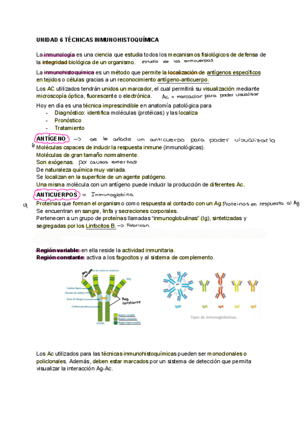 Miniatura del documento PYC-6.pdf