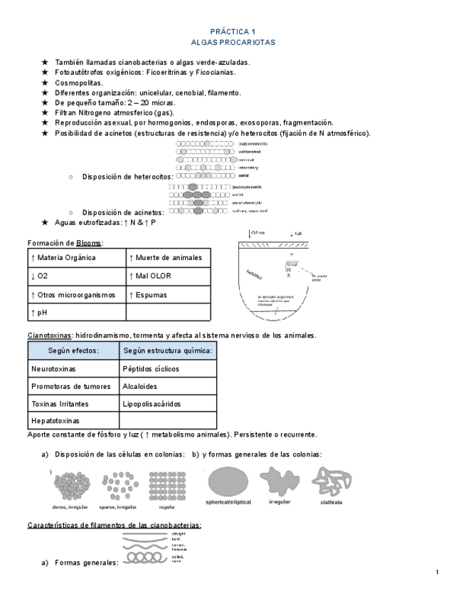 Miniatura del documento laboratorio.pdf