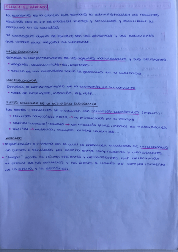 Miniatura del documento APUNTES-1o-PARCIAL.-TEMAS-1-4.pdf